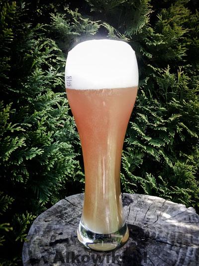 piwo-pszeniczne