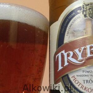 Trybunał Trójsłodowe