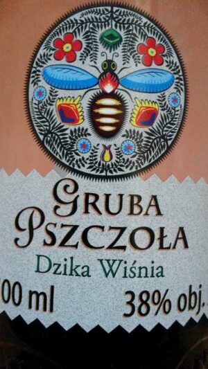 Gruba Pszczoła Dzika Wiśnia