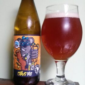 Lemon Tree Citrus Ale