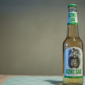 Dziki Sad