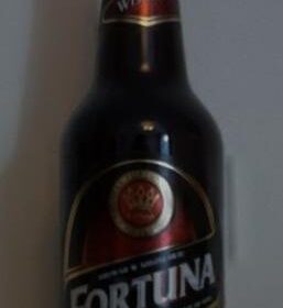 Fortuna Wiśniowa